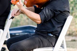 Terra Vista Strings - 14