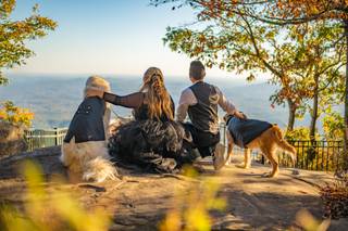 Davey Morgan Photography - 44