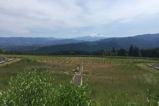 Gorge Crest Vineyards - 34