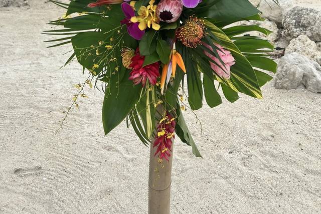 Island Blooms 3