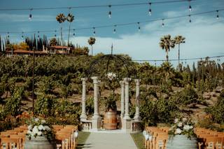 Europa Village Wineries & Resort - 16