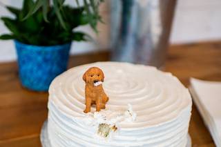 Kim Kinsella Photography - 7