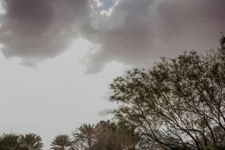 JW Marriott Las Vegas Resort & Spa - 43