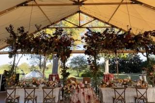 Terry Kaye Events - 28