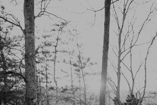 Derek Halkett Photography - 58