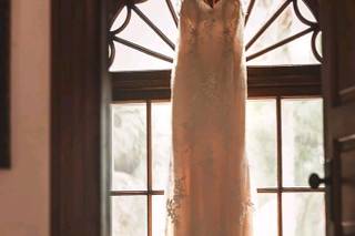 Doodle Fly Photography - 19