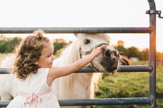 One Thousand Words Photography LLC - 7
