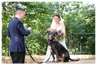 Janet Lanza Photography - 16