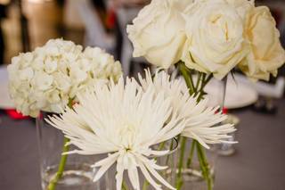Lily of the Lakes - 54