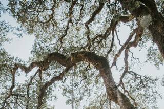 Rebecca Skidgel Photography - 71