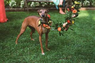 Blush Floral Design Studio - 48