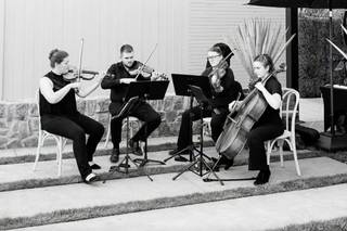 Sutro String Quartet - 5