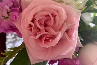 The Meadow Market - 5