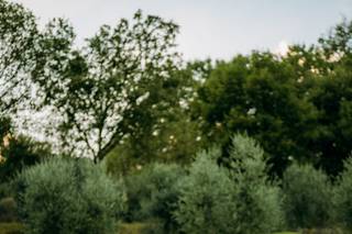 SulainisArt Photography & Videography - 93