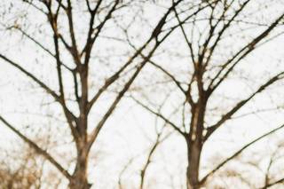 Tim Waters Photography - 15