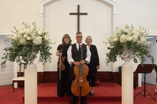 SUMMIT Strings - 24