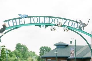 The Toledo Zoo - 28