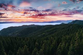 VILD Photography - 5