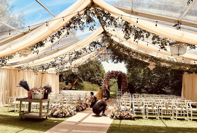 Bird Dog Wedding - 3