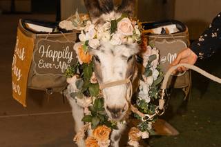 Haul N Ass Productions - 24