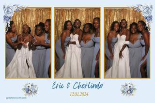 Picture Perfect Enterprises - 5