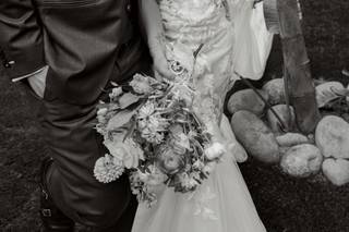 Pamela Tatz Photography - 15