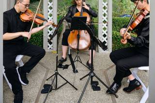 Presidio Artists LLC - 1