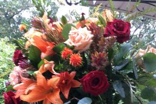 Botanicals Design Studio - 24