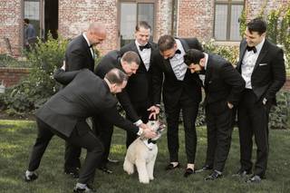 Happy Bark & Tails - 32