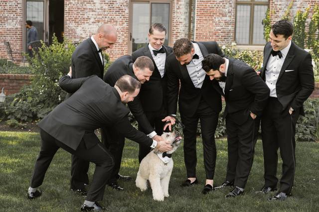 Happy Bark & Tails 3