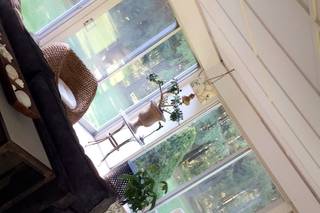 Abloom Farm Resort - 9