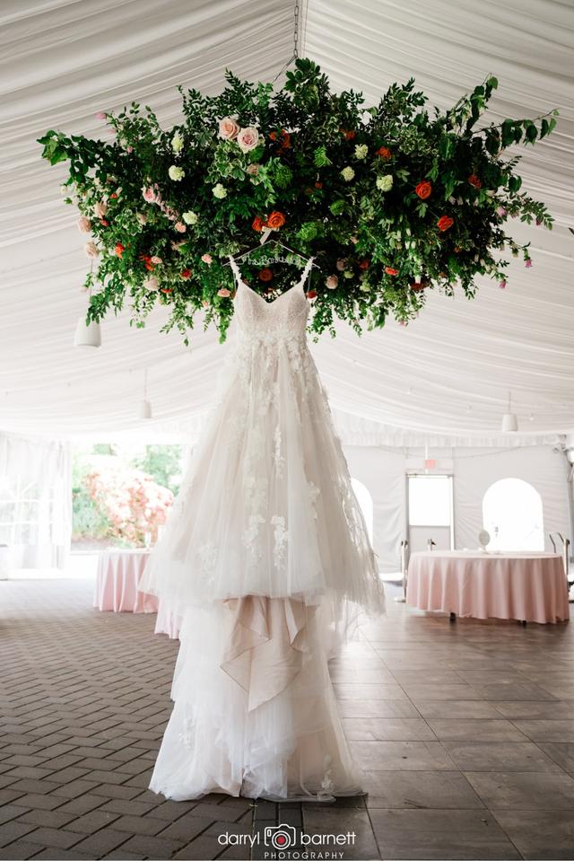 Darryl Barnett Photography - 2