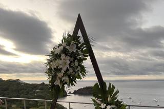 HEIDY QUESADA Co. - 105