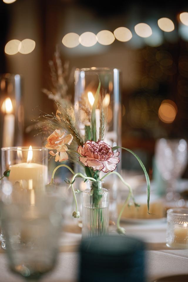 Ladybird Lusk - 2