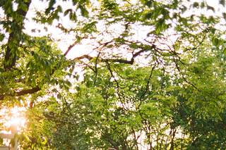 Danielle Canady Photography - 8