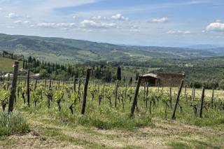 Tenuta Riseccoli - 7