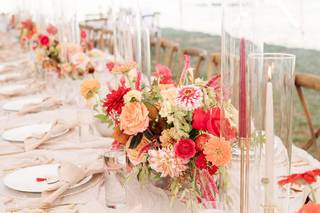 Seeded Events & Design - 8