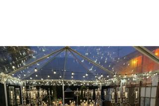 Firefly Ambiance - 19