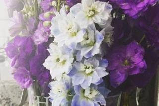The Flower Cart - 17