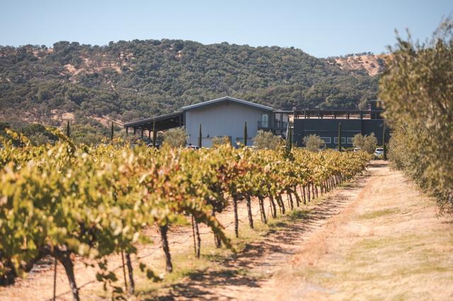 BackRoad Vines - 3
