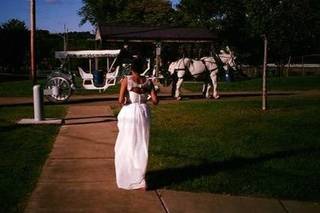 Carriage Limousine Service - Horse Drawn Carriages - 11