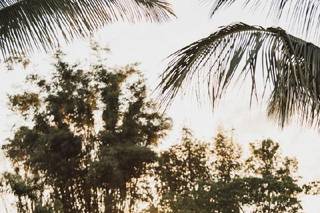 Corey McCarley Photography - 14