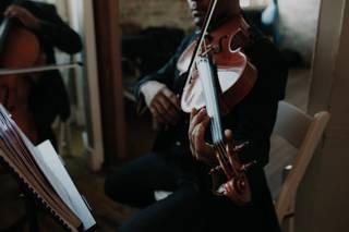 Sterling Strings - 16