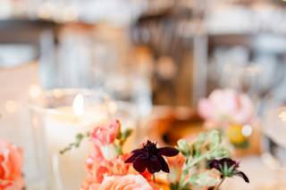 Garvey's Gardens, LLC - 6