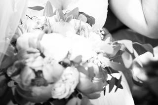 Carla Lawrence Photography - 25