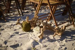 Wedding Bells and SeaShells - 8