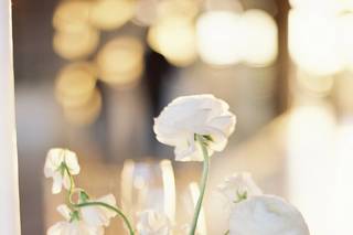 Dancing Stems Design - 5