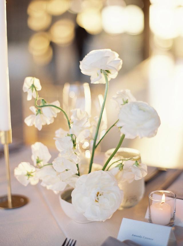 Dancing Stems Design - 2