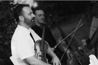 OC Strings - 8