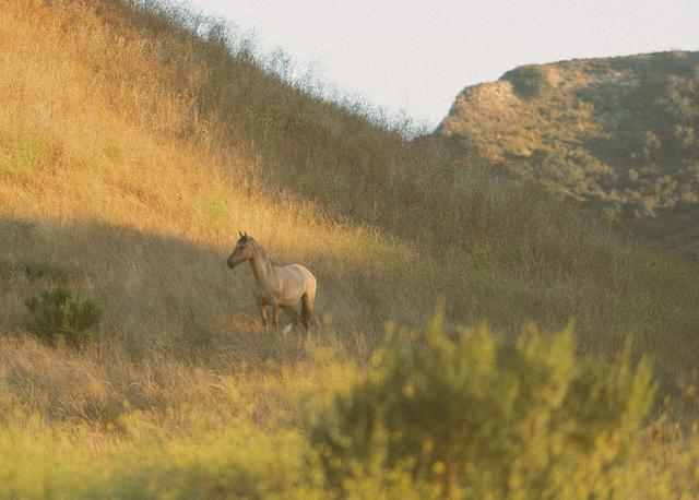 Las Cumbres Ranch - 1